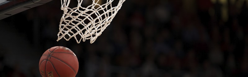 洛杉矶湖人队紫金配色队徽